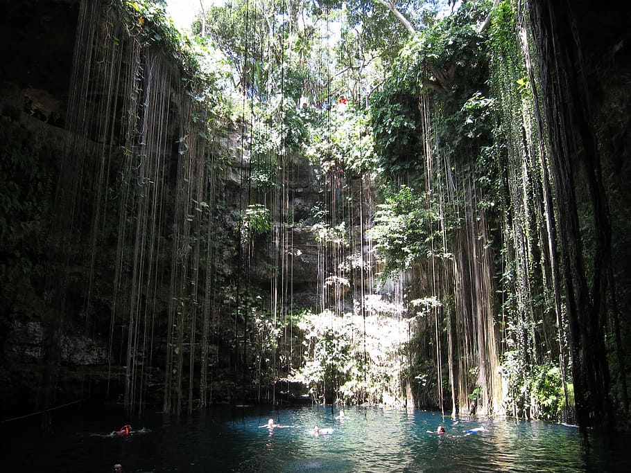 people in body of water inside cave, Cancun, Pool, Jungle, Natural