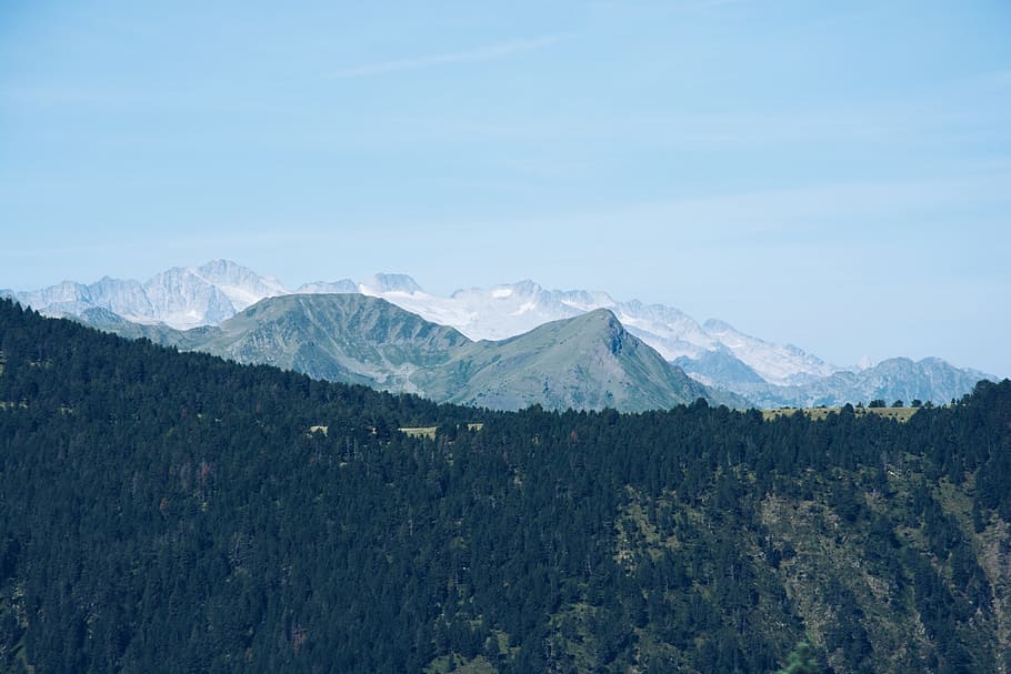 aerial photography of forest with mountain range background, trees and mountain ahead HD wallpaper