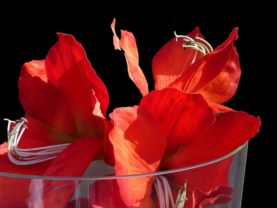 Artificial Flowers, red, plastic flower, decoration, decorative, HD wallpaper