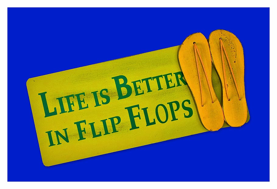 shield, postcard, live, better, flip flops, shoes, funny, greeting card HD wallpaper