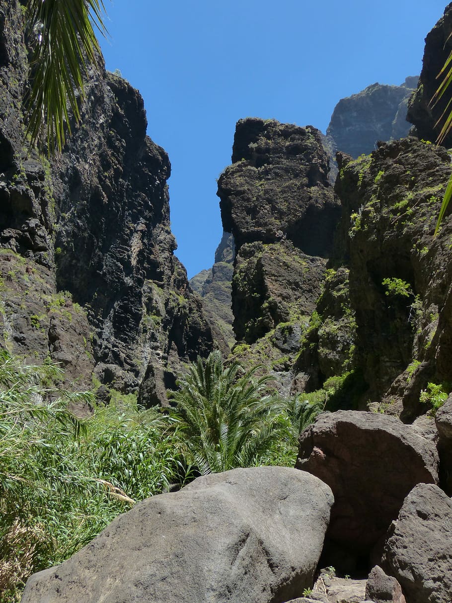 Masca, Ravine, Rock, Gorge, Hike, masca ravine, tenerife, canary islands, HD wallpaper