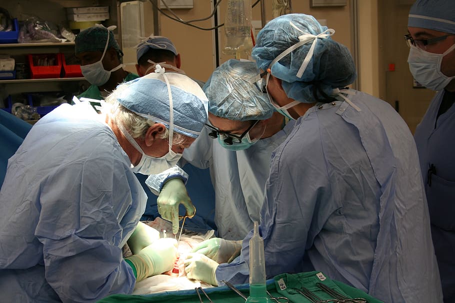 people inside operating room, surgery, donor, transplantation