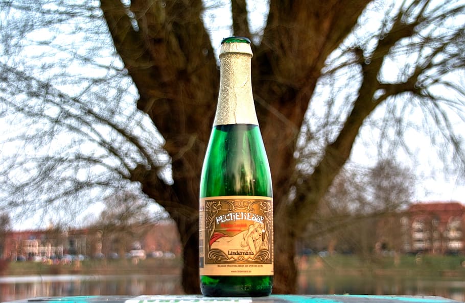 Bottle, Champagne, Empty, Tree, green color, alcohol, focus on foreground HD wallpaper