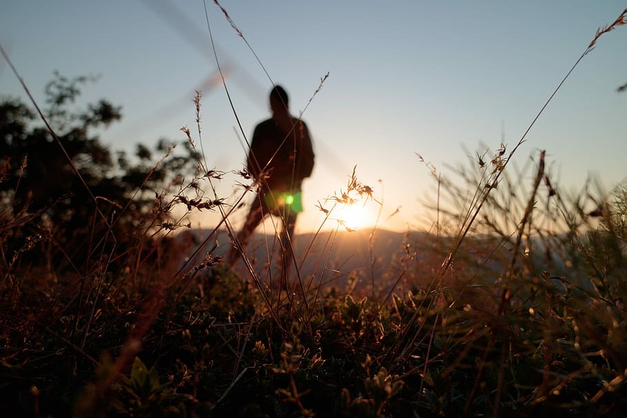 silhouette of person while standing fronting mountains, silhouette of person in the grass HD wallpaper