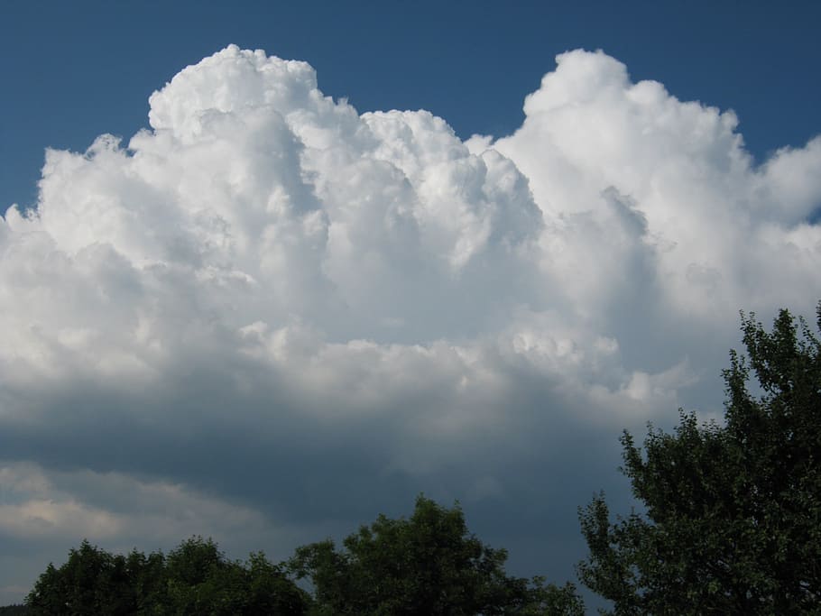 clouds, sky, nature, cloud - sky, tree, beauty in nature, plant HD wallpaper