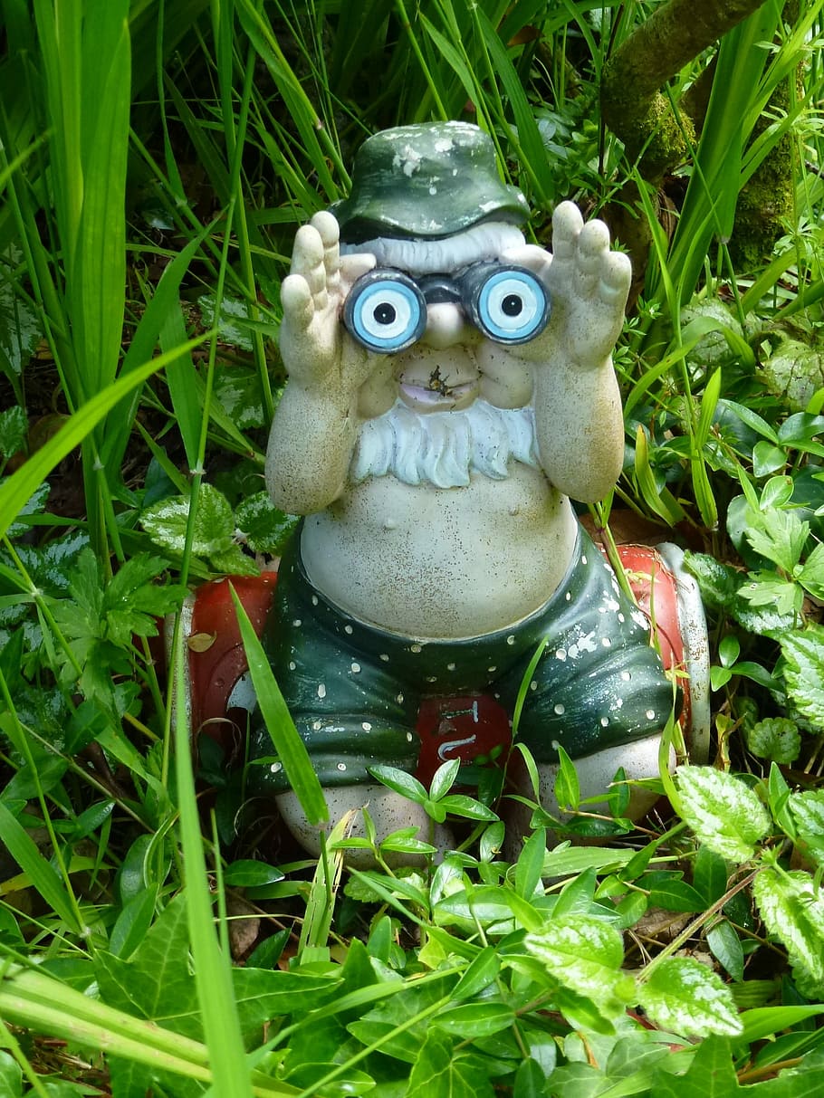 Gnome, Garden, Binoculars, Man, Beer Can, belly, watching, observe HD wallpaper