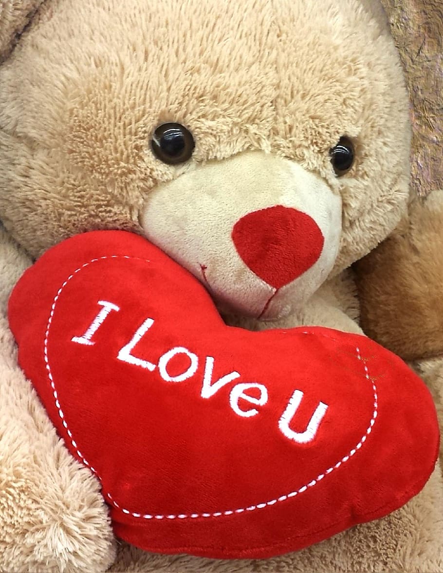 HD wallpaper: brown bear holding i love u pillow, i love you ...