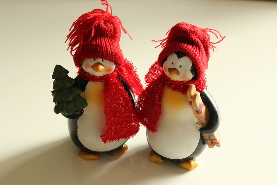 Christmas, Cute, Fun, Winter, Penguin, decorative, snowman HD wallpaper