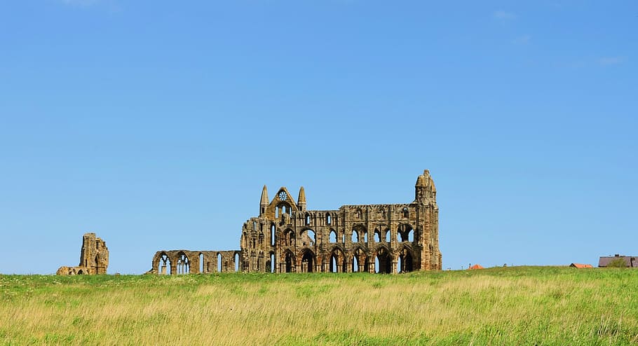 whitby, abbey, dracula, uk, england, yorkshire, landmark, landscape HD wallpaper