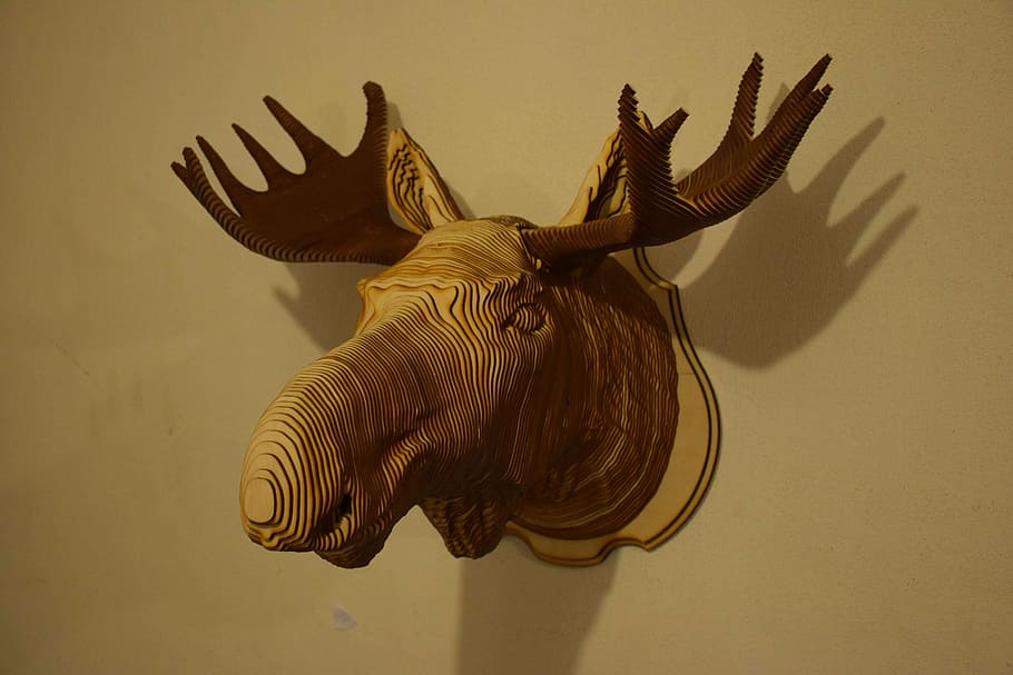 head, elk, tree, animals, wall, living nature, contemporary art HD wallpaper