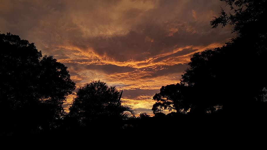 seminole, st peterburg, florida, sunset, clouds, red, sky, silhouette, HD wallpaper