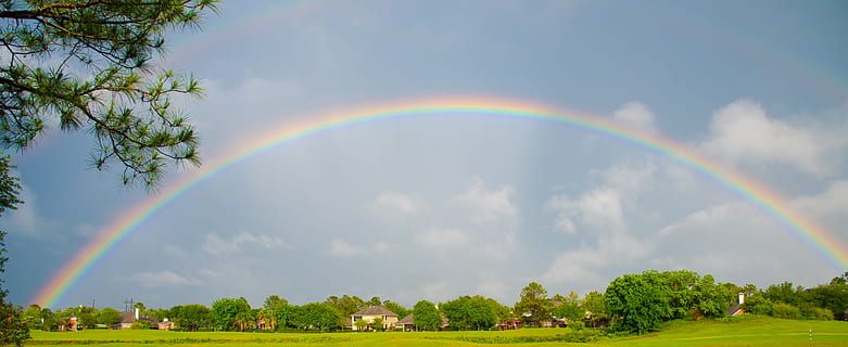trees under a rainbow, Nature, rainbow sky, double rainbow HD wallpaper