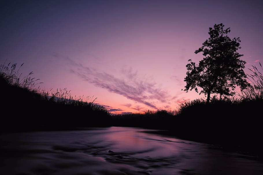 calm body of water, purple, orange, sky, river, grasses, nature HD wallpaper