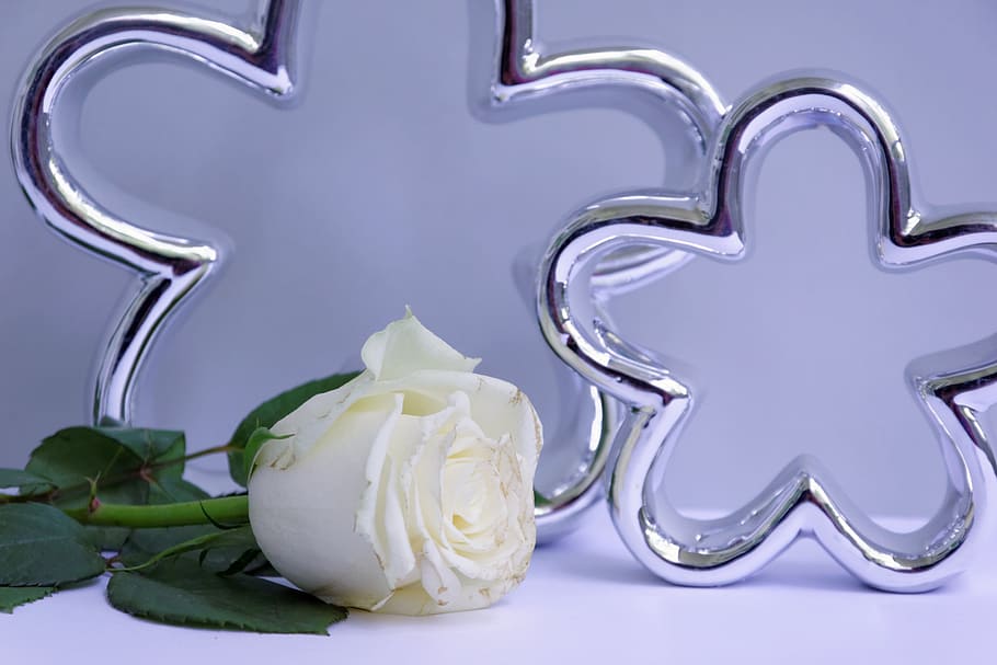 White, Deco, Memory, Birthday, rose, give, fragrance, flower HD wallpaper