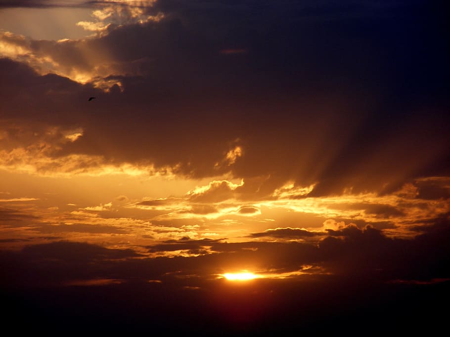 Sun, East, Twilight, Cloud, sky, red, blue, sunset, nature HD wallpaper