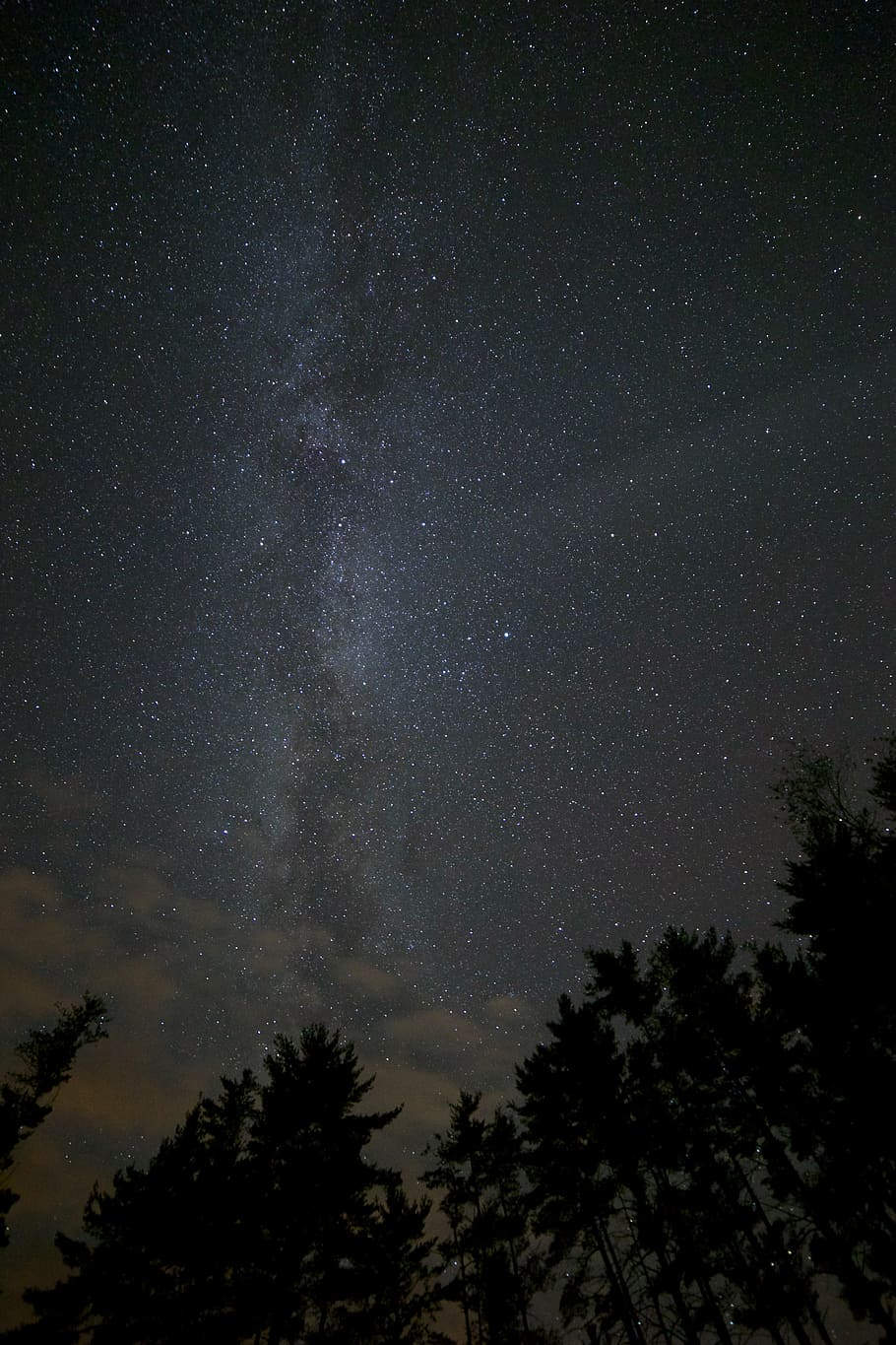 clouds, forest, lights, night, sky, stars, trees, woods, star - Space HD wallpaper