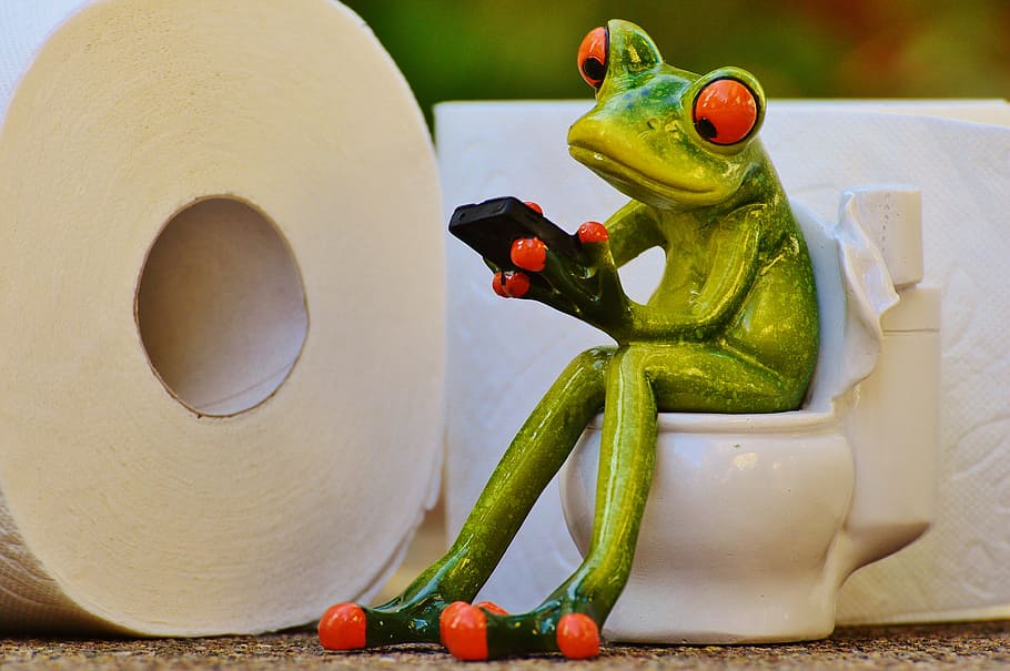 frog sitting on toilet holding phone figurine, loo, session, funny