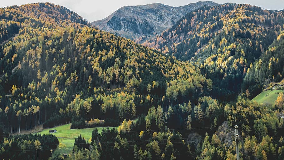 aerial landscape photography of green trees filled mountains under blue calm sky, green mountain with tall trees at daytime HD wallpaper