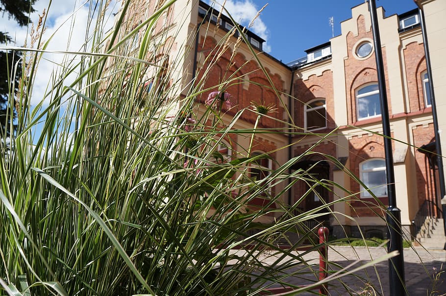 school, spring, grass, building exterior, architecture, built structure HD wallpaper