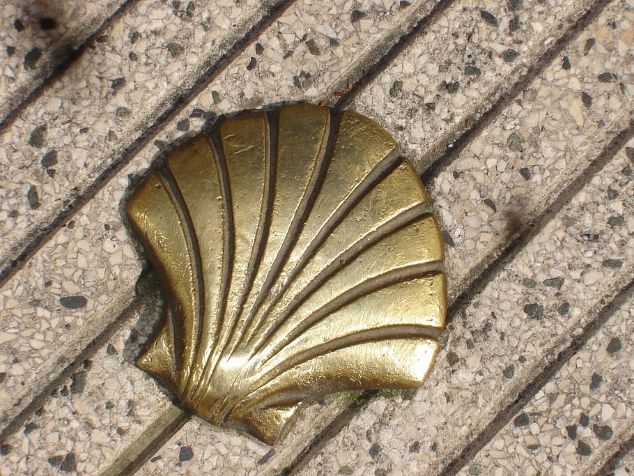 st jacques, shell, compostela, no people, close-up, pattern HD wallpaper
