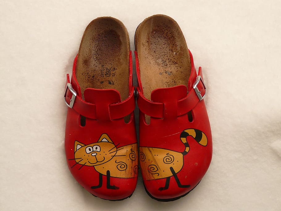 Cat birkenstocks online