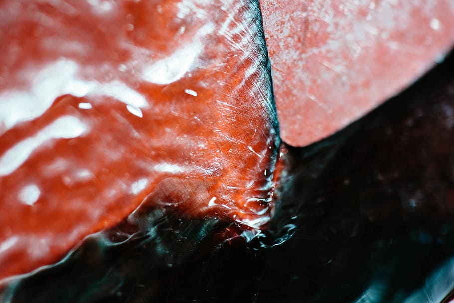 untitled, nature, water, red, close-up, no people, leaf, plant part HD wallpaper