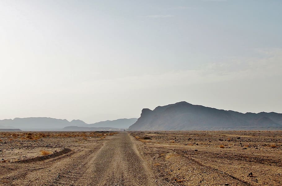 desert, sand, egypt, path, landscape, environment, sky, dirt road HD wallpaper
