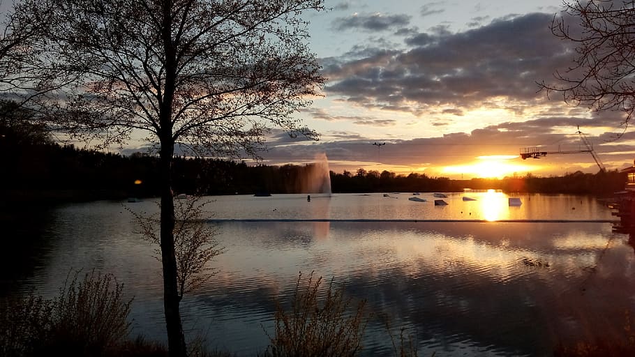 sunset, dawn, nature, waters, reflection, sky, tree, lake, beauty in nature HD wallpaper