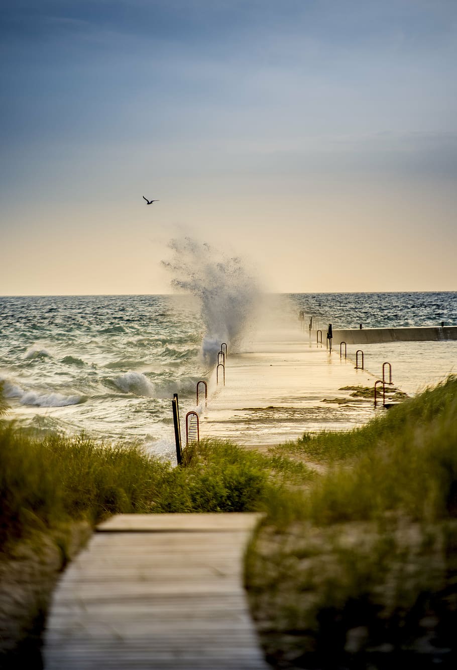 beach, dawn, dock, dusk, grass, ocean, path, pier, sea, seashore HD wallpaper
