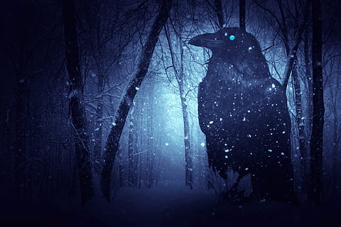 photo of black crow surrounded by snow, winter, season, trees HD wallpaper