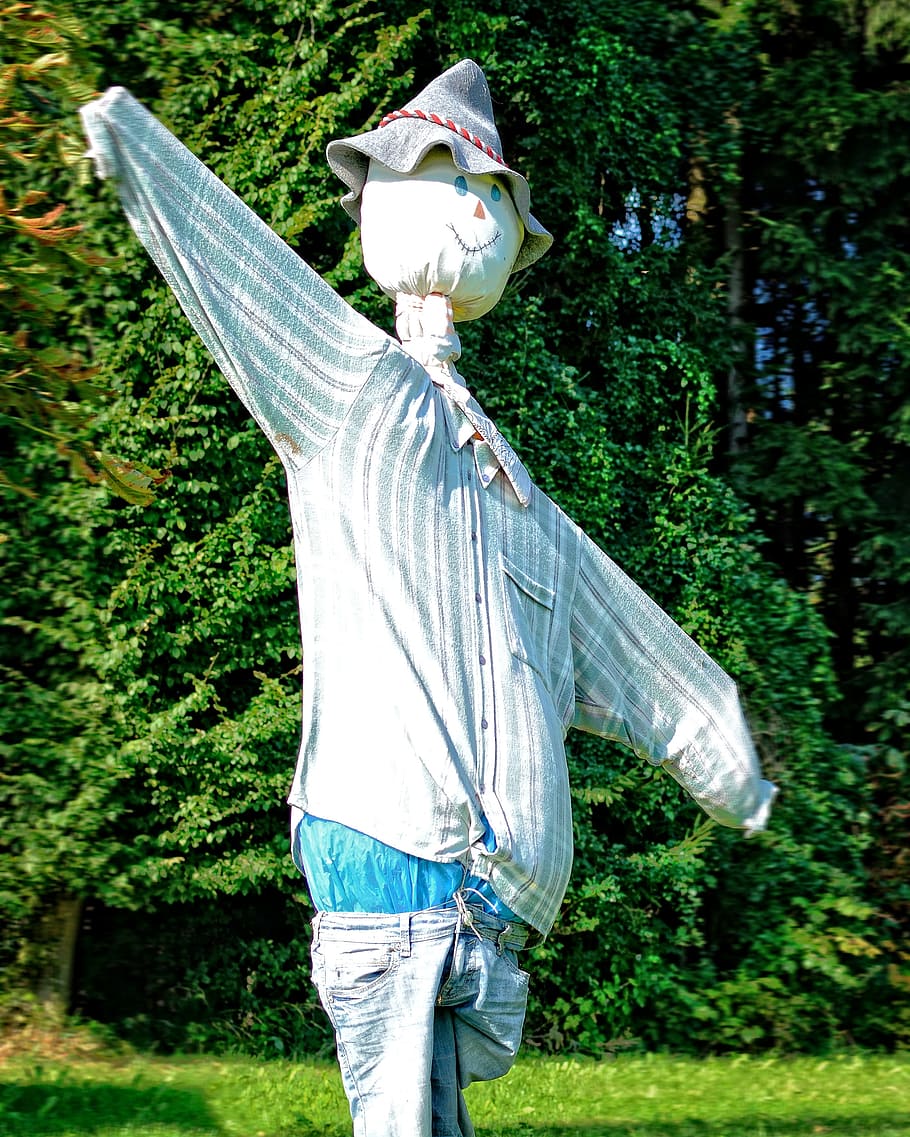 scarecrow, woman of straw, figure, silhouette, human, bird control, HD wallpaper