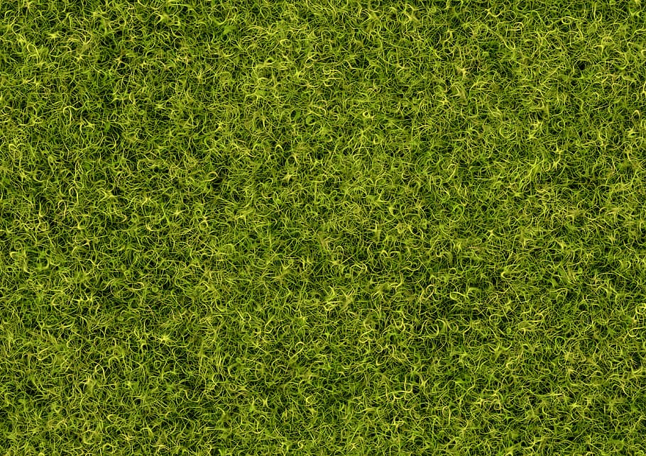 green grass, background, rush, pattern, structure, meadow, green color HD wallpaper