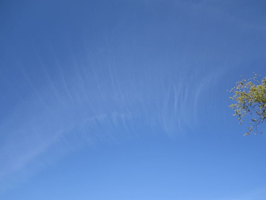 sky, blue, clouds, blue sky, skies, clear sky, nature, no people HD wallpaper