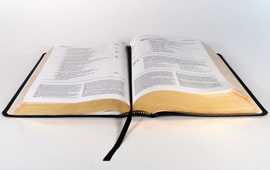 Close-up of Open Book, data, document, education, knowledge, literature HD wallpaper