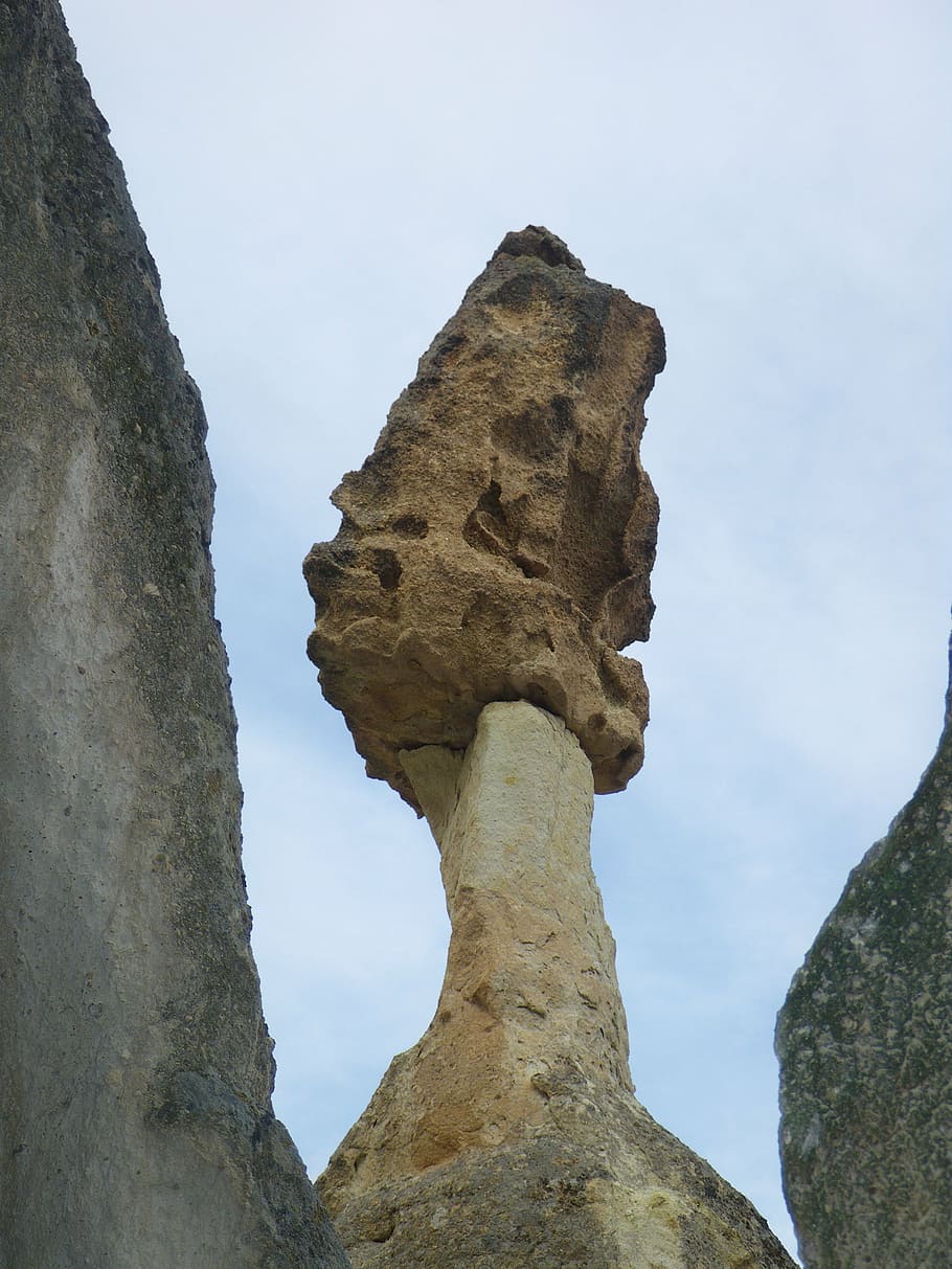 stone, rotten, mushroom, low angle view, sky, tree, nature HD wallpaper
