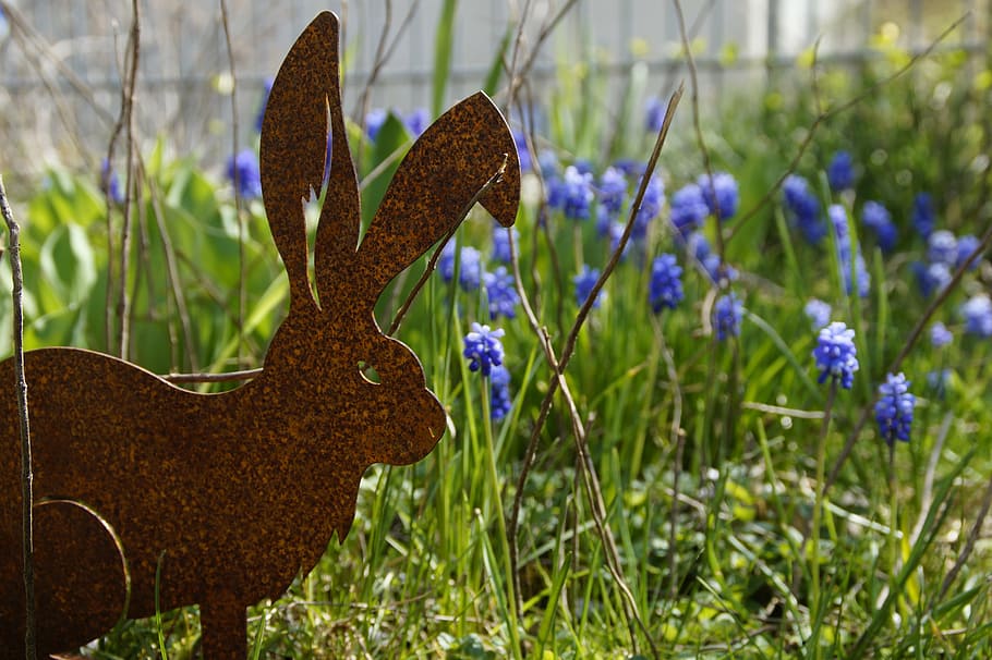 easter bunny, easter sunday, hare, spring, spring festival HD wallpaper