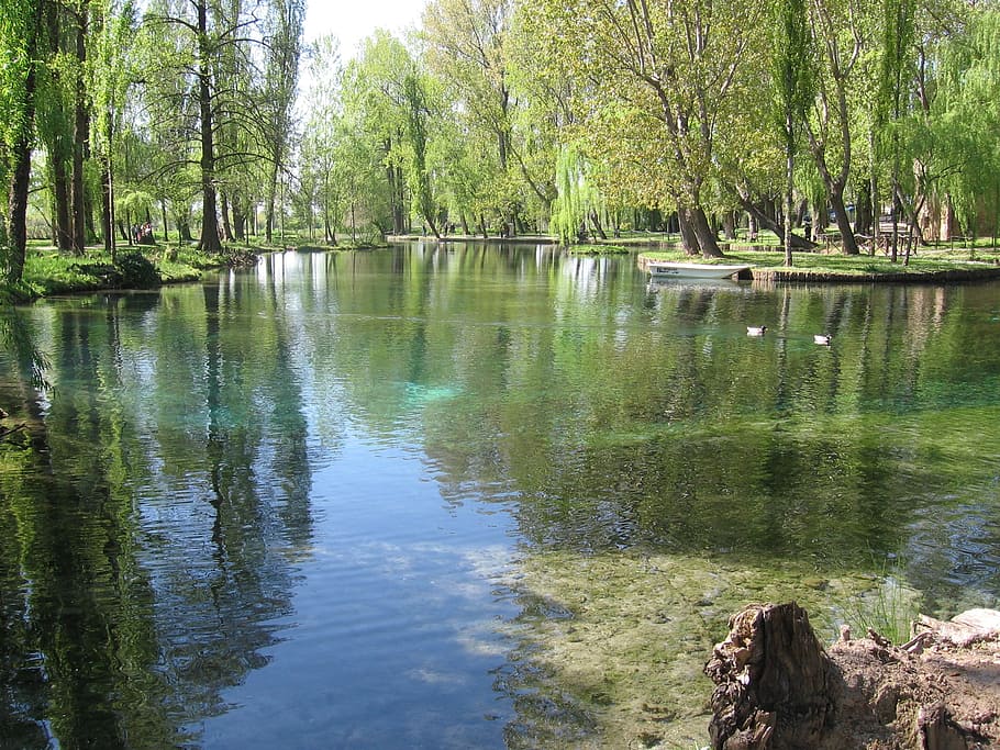 Lake, Pond, Willows, nature, tree, water, reflection, outdoors HD wallpaper