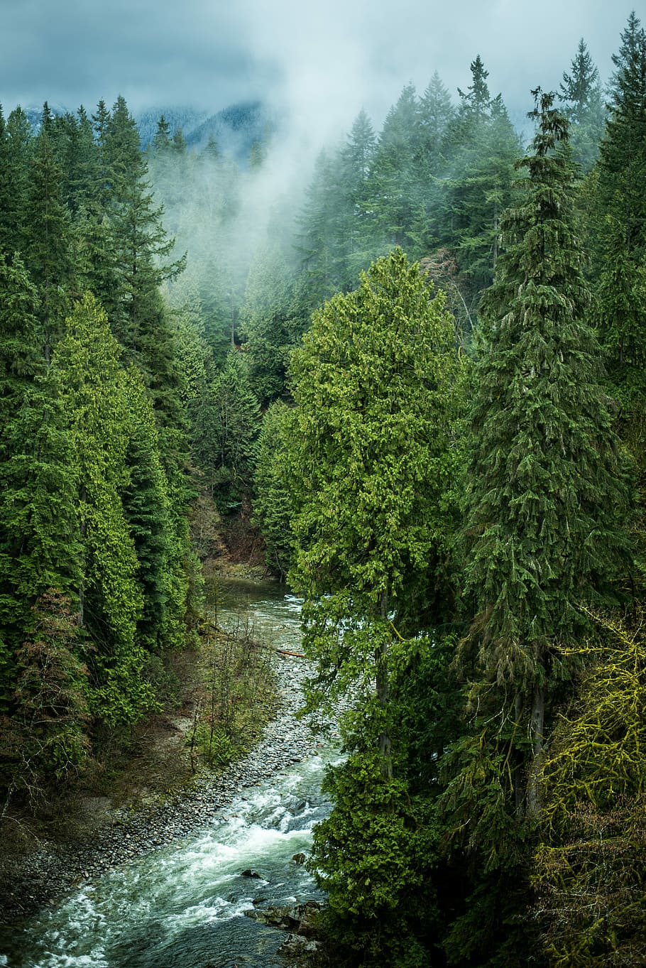 aerial photography of lake between trees, forest with river covered with fog HD wallpaper