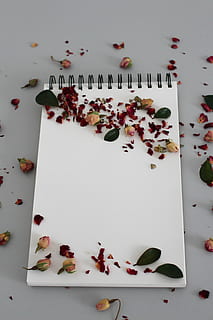 petals on notebook, background, leave, notes, write down, diary HD wallpaper
