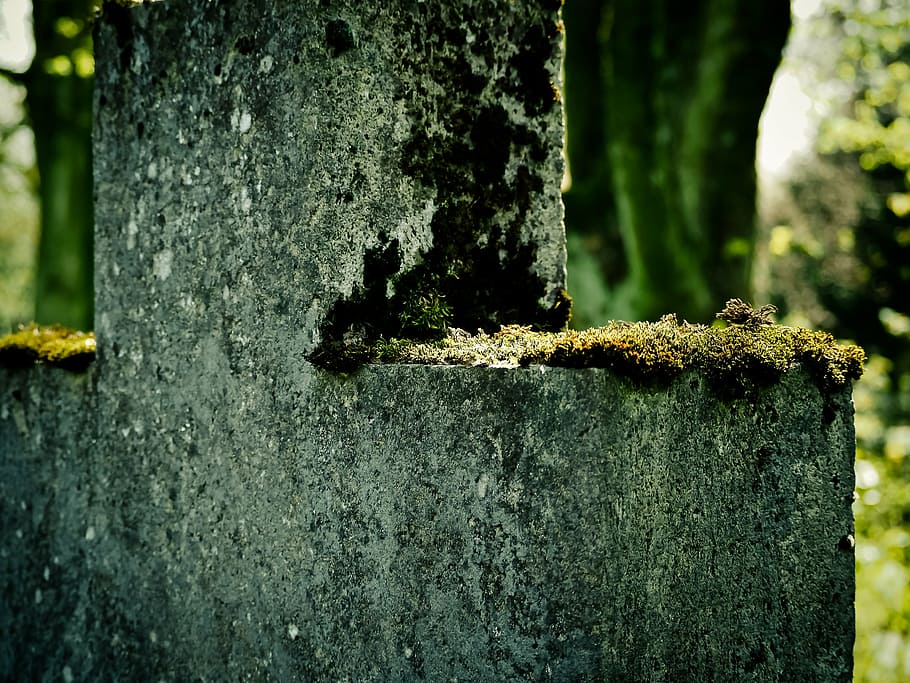 cross, moss, stone cross, old, cemetery wall, mystical, weave HD wallpaper