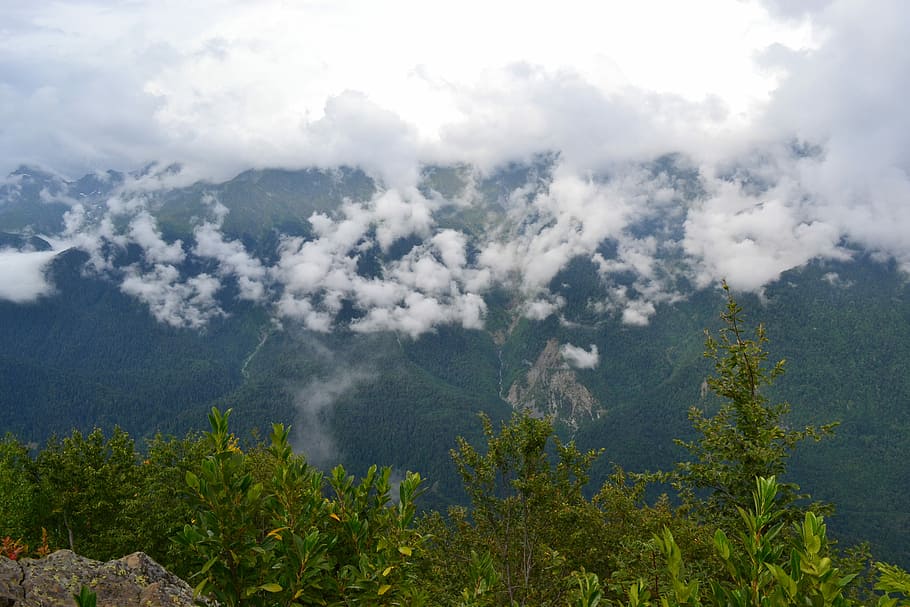 nature, mountain, sky, panoramic, plant, beauty in nature, cloud - sky HD wallpaper