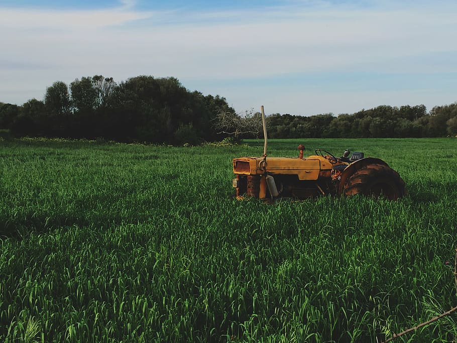 yellow tractor on farm, green, grasses, daytime, rural, countryside HD wallpaper