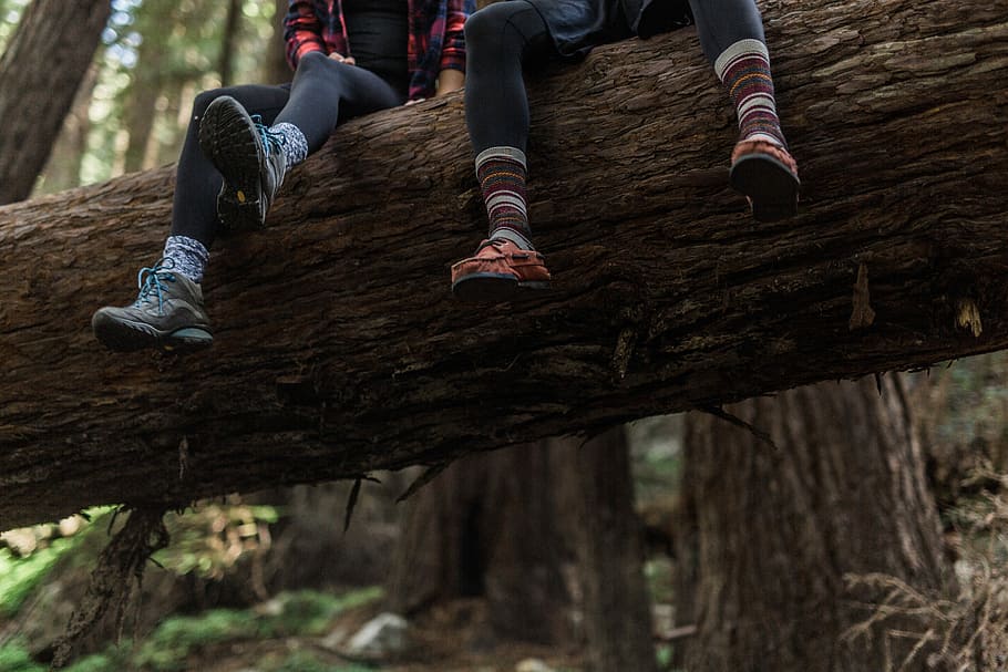 two person sitting on brown tree trunk, two persons sitting on tree HD wallpaper