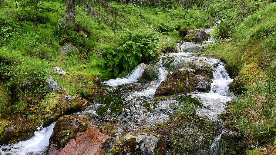 stream, torrent, creek, mountain, creek bed, flowing, trough HD wallpaper