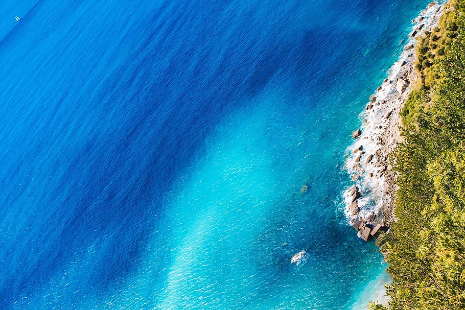 aerial photography of trees near seashore and blue body of water HD wallpaper