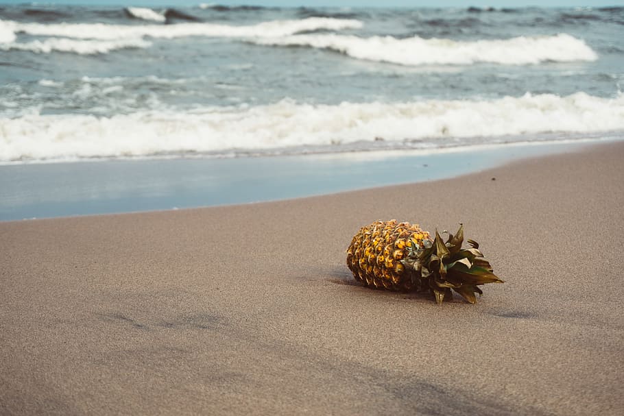 pineapple of sands, yellow and brown pineapple on seashore, beach HD wallpaper