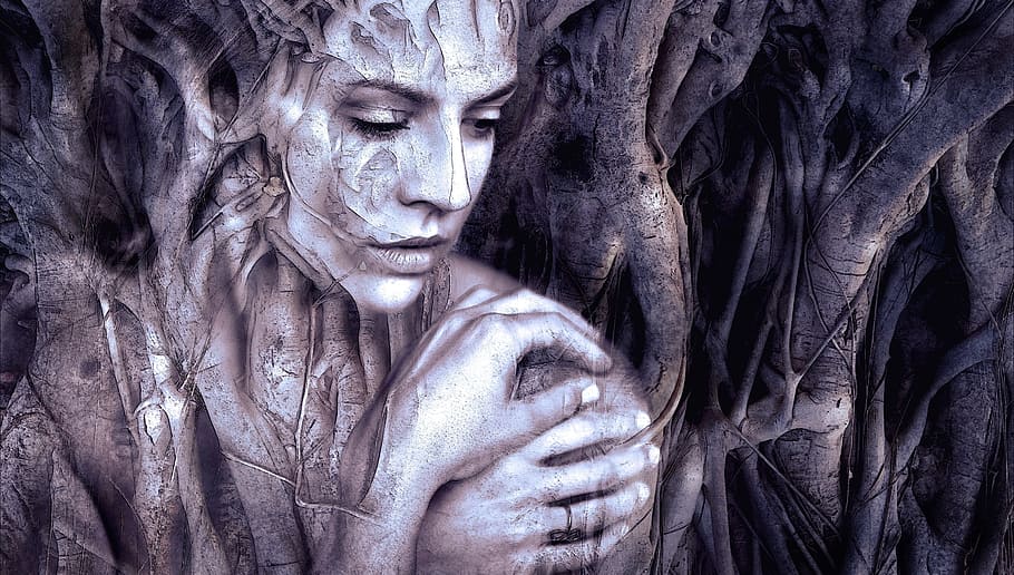 tree trunk with woman face art, composing, fantasy, beauty, mystical, HD wallpaper