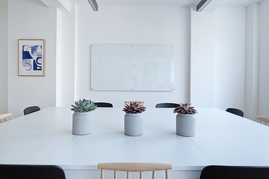 three succulent plants on white wooden table inside room, interior HD wallpaper