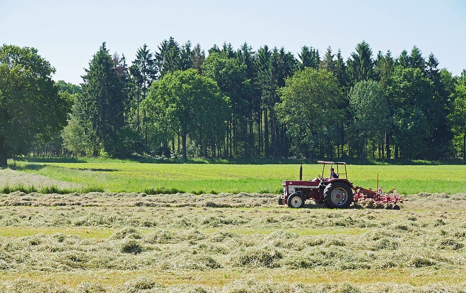Hay, Grass, First Cut, Dry, Contact, may, hay tedders, tractor HD wallpaper