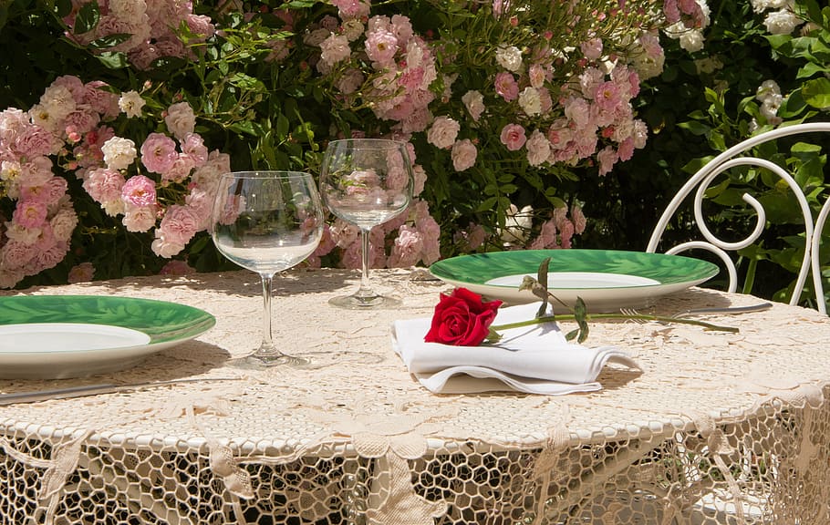 red rose on top of white table napkin, summer, roses, terrace HD wallpaper